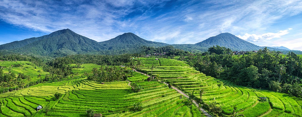 Pemandangan Desa Jatiluwih, Bali | Wikimedia Commons (Imacim)
