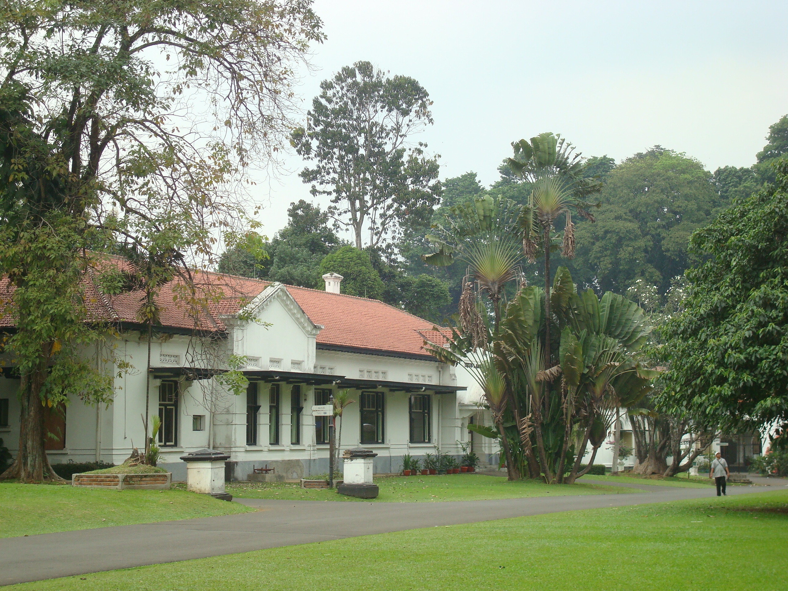 Kebun Raya Bogor | Source: Wikimedia Commons