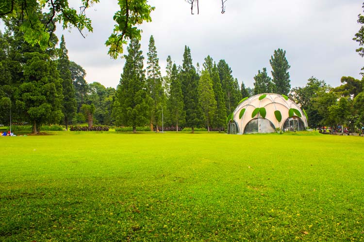 Kebun Raya Bogor menjadi wisata alam yang sangat kekinian | Foto: (kebunraya.id/bogor)