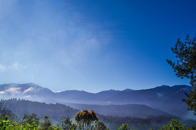  Gunung Latimojong dengan satwa liar endemiknya Anoa dan Babirusa yang menawan (Dok. commons.wikimedia.org) 