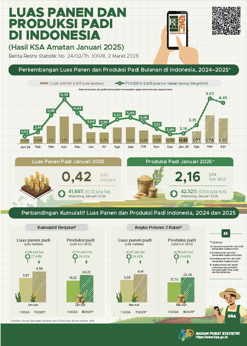 Infografis Perkembangan Luas Panen dan Produksi Padi di Indonesia, 2025 (Sumber: Badan Pusat Statistika Indonesia)