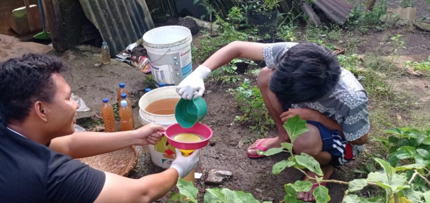 Proses penyaringan air rendaman kulit bawang