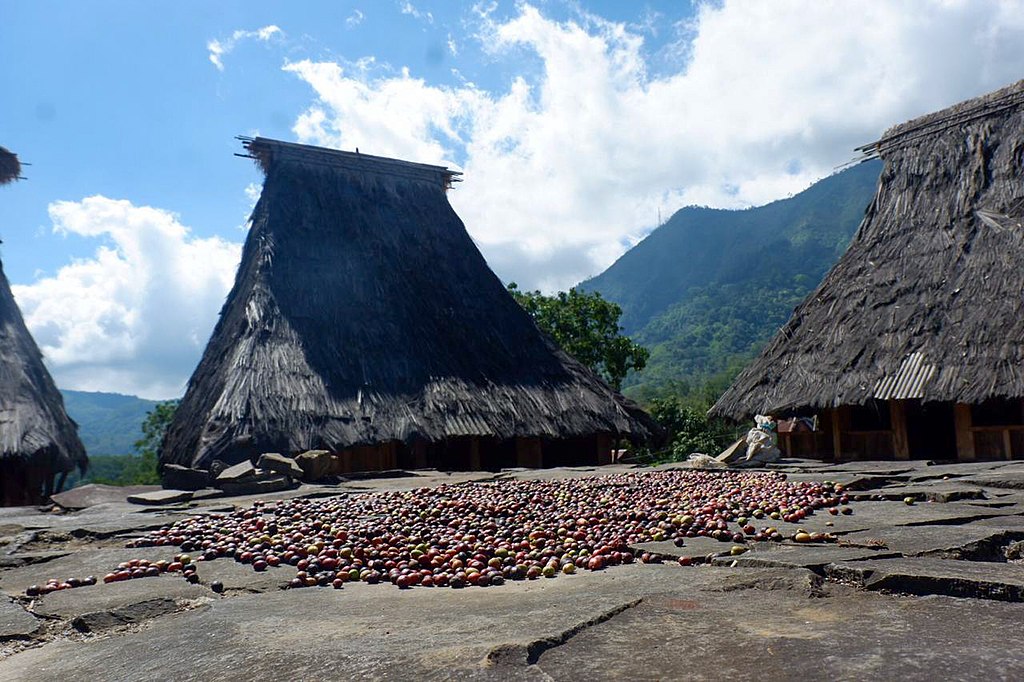 Kopi khas Desa Wologai @ Ryan Ibra/wikimedia commons
