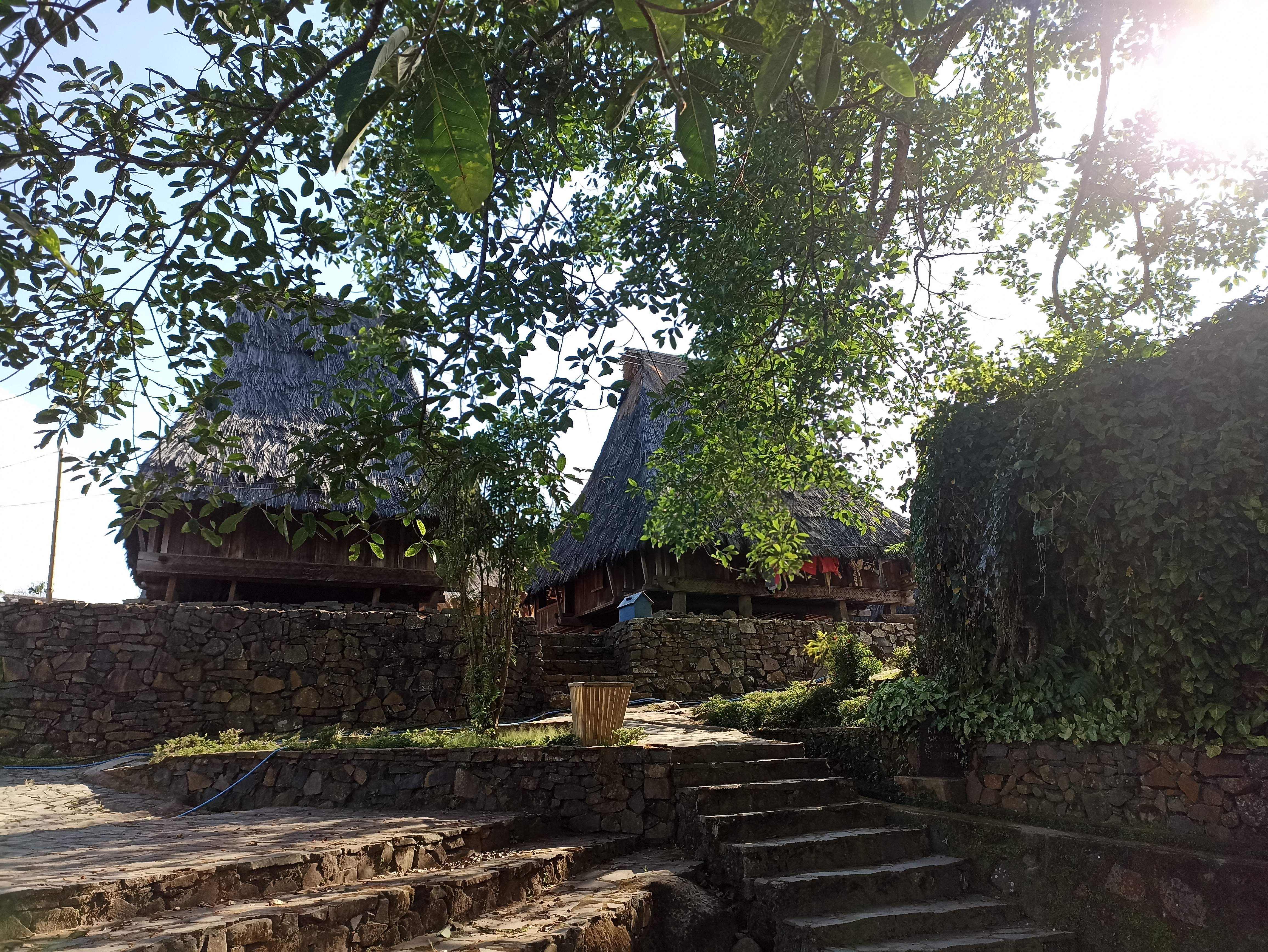 Kampung Adat Wologai terletak di atas bukit, menciptakan suasana tenang dan alami yang khas @ Dokumentasi Pribadi