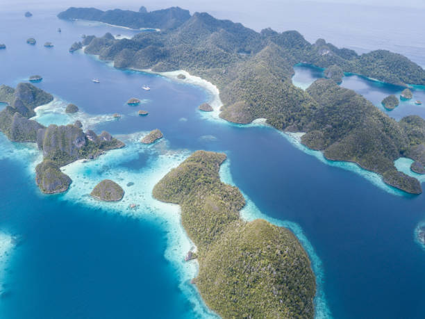 Landskap darat pulau Gag di Papua | Gambar via istockphoto/Velvetfish