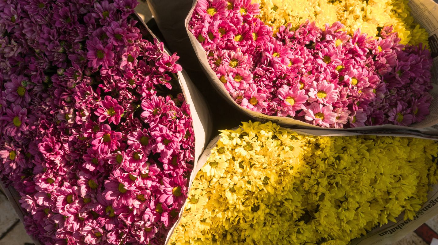 Bunga yang dijual di Pasar Bunga Rawa Belong, pasar bunga terbesar di Asia Tenggara