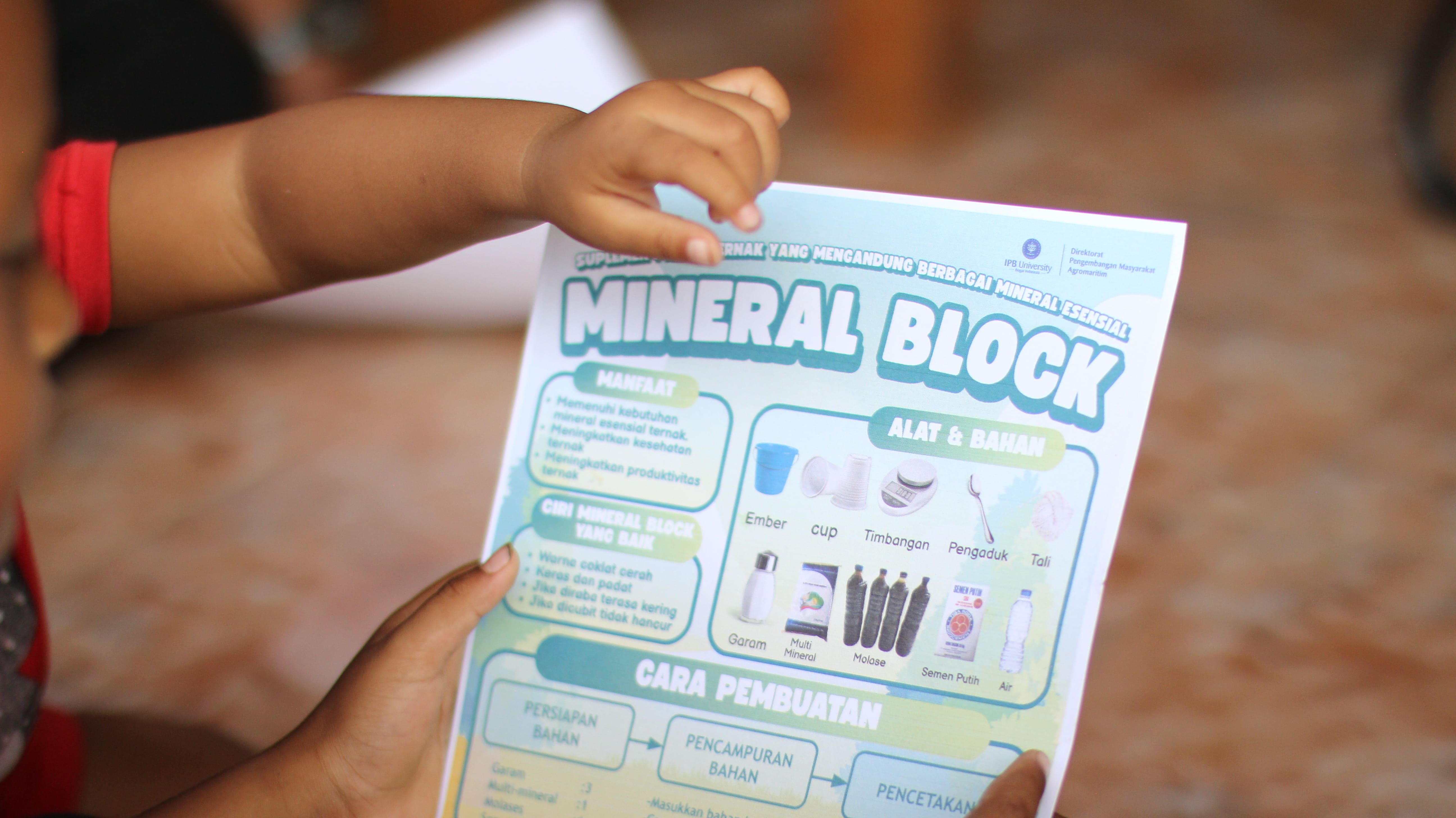Poster Mineral Blok