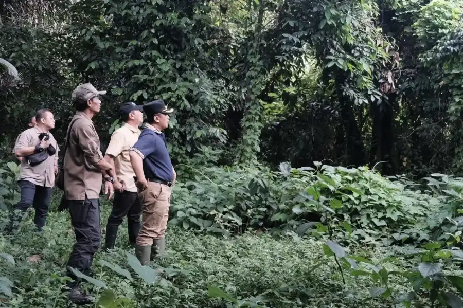 Pemkot Depok saat memantau Taman Hutan Raya Pancoran Mas, cagar alam tertua di Indonesia