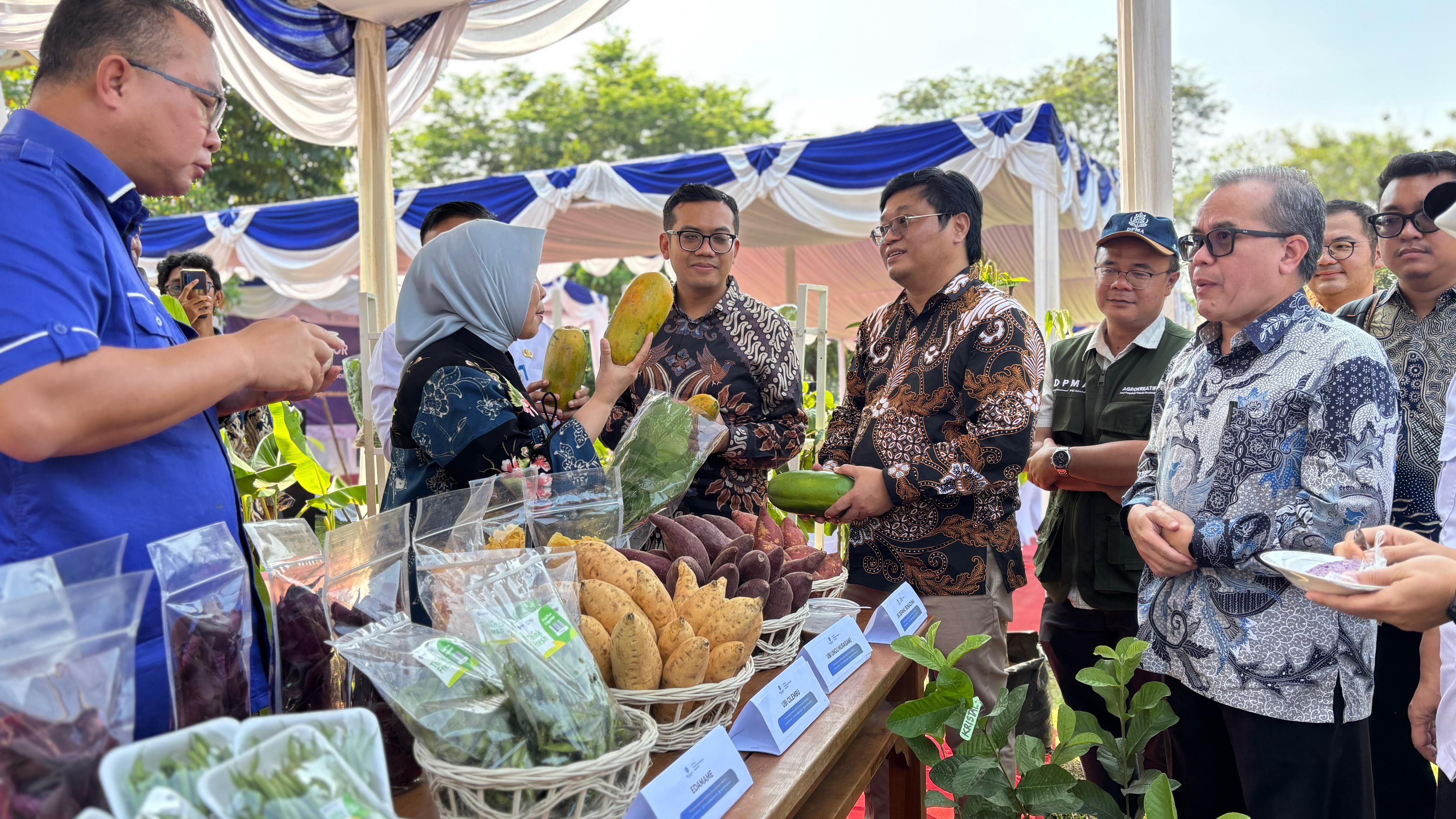 Rektor IPB University bersama Dirjen Pengembangan Ekspor Nasional Kementerian Perdagangan RI dan sejumlah mitra sedang mengunjungi stan produk pertanian lokal dalam kegiatan pelepasan ekspor