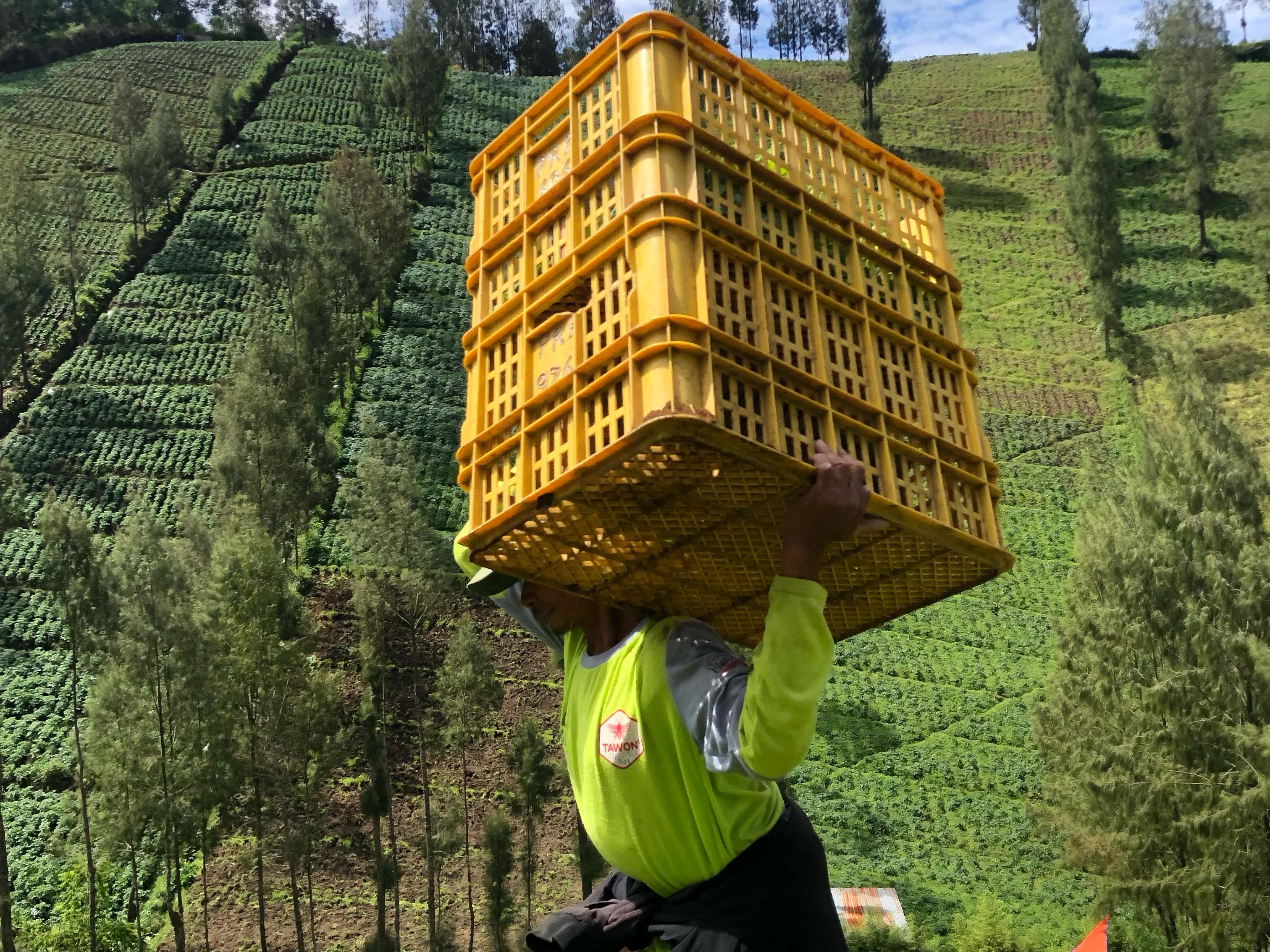 Dokumentasi Pribadi