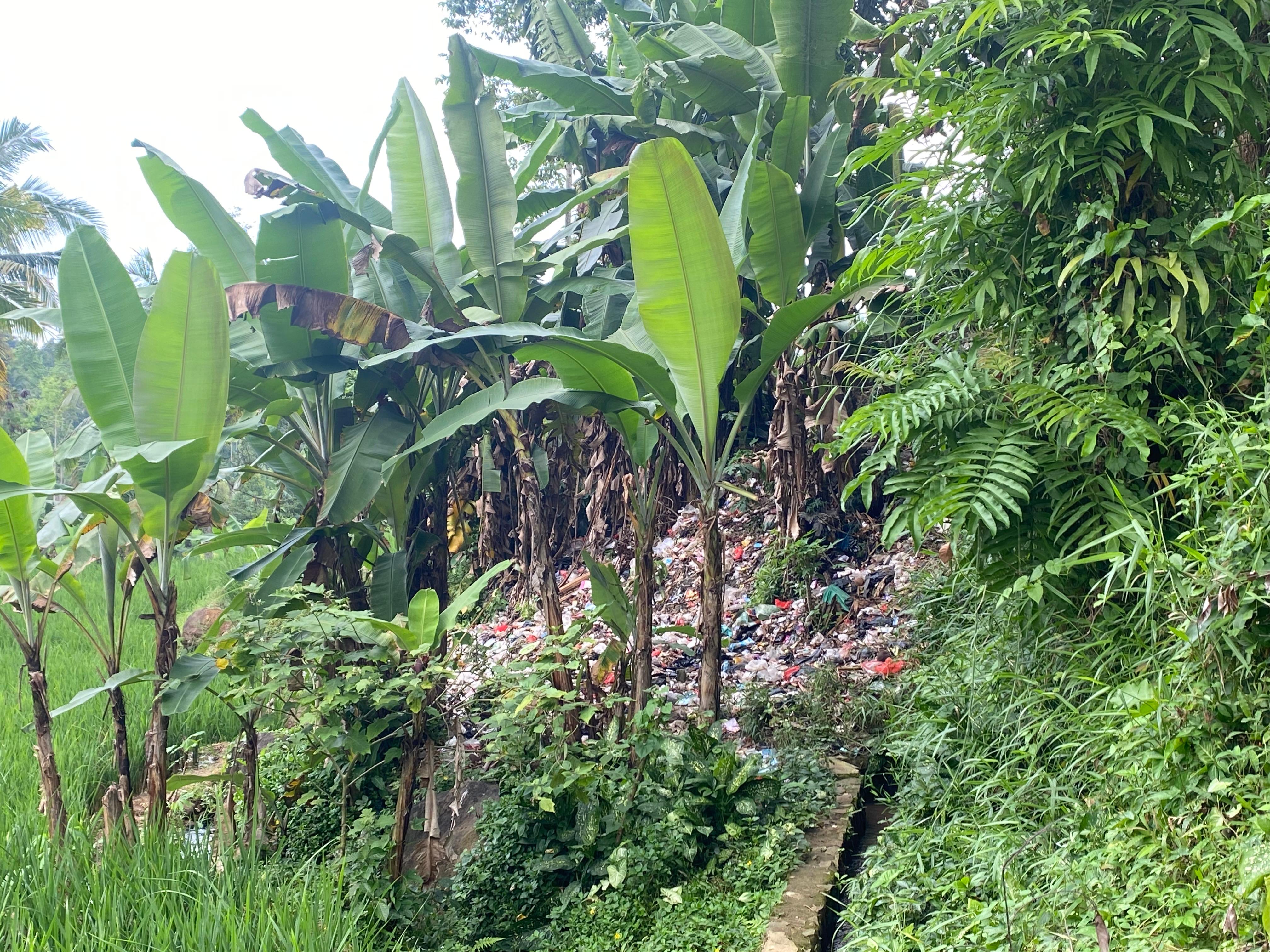 Permasalahan sampah di Desa Cikelat