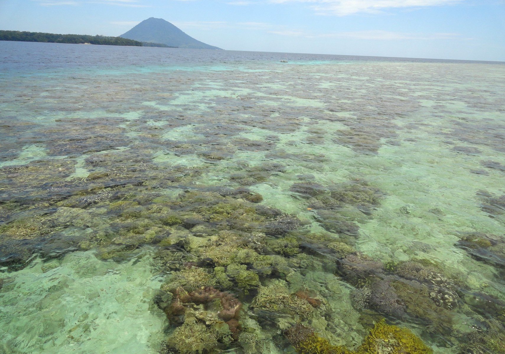 Terumbu Karang di Siladen