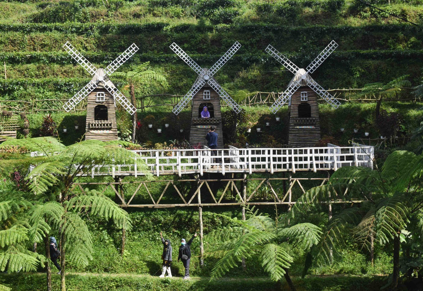 Kebun Teh Pagilaran | Foto: visitjawatengah.jatengprov.go.id/