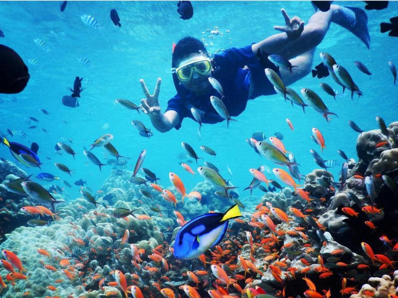 Potret Wisata Bawah Laut Desa Iboih di Sabang Aceh Kaya Ikan-ikan Kecil Warna-Warni | Sumber: Jadesta.kemenparekraf.go.id