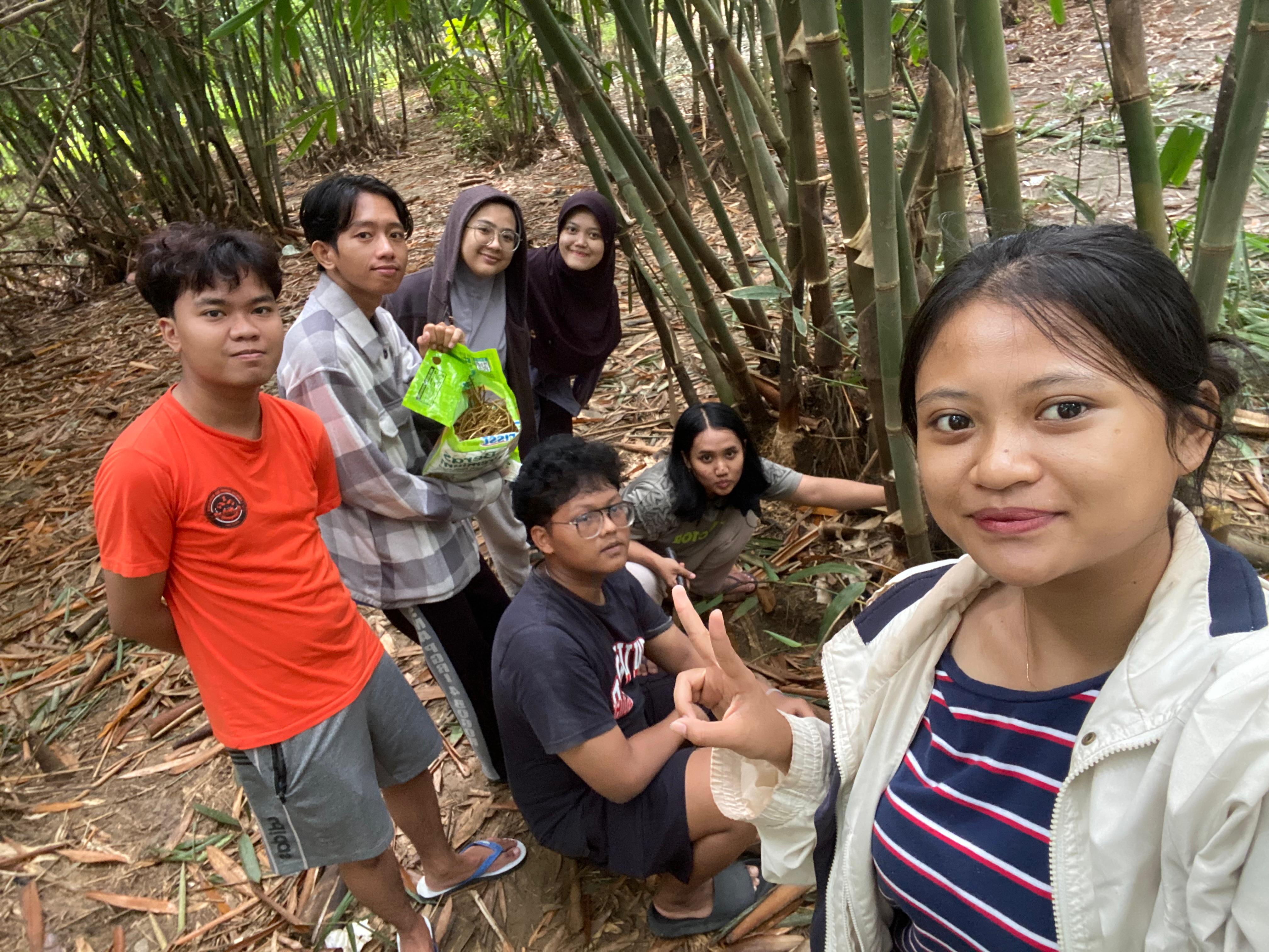 Pengambilan akar bambu