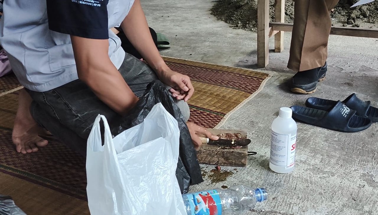 Proses pembuatan silase
