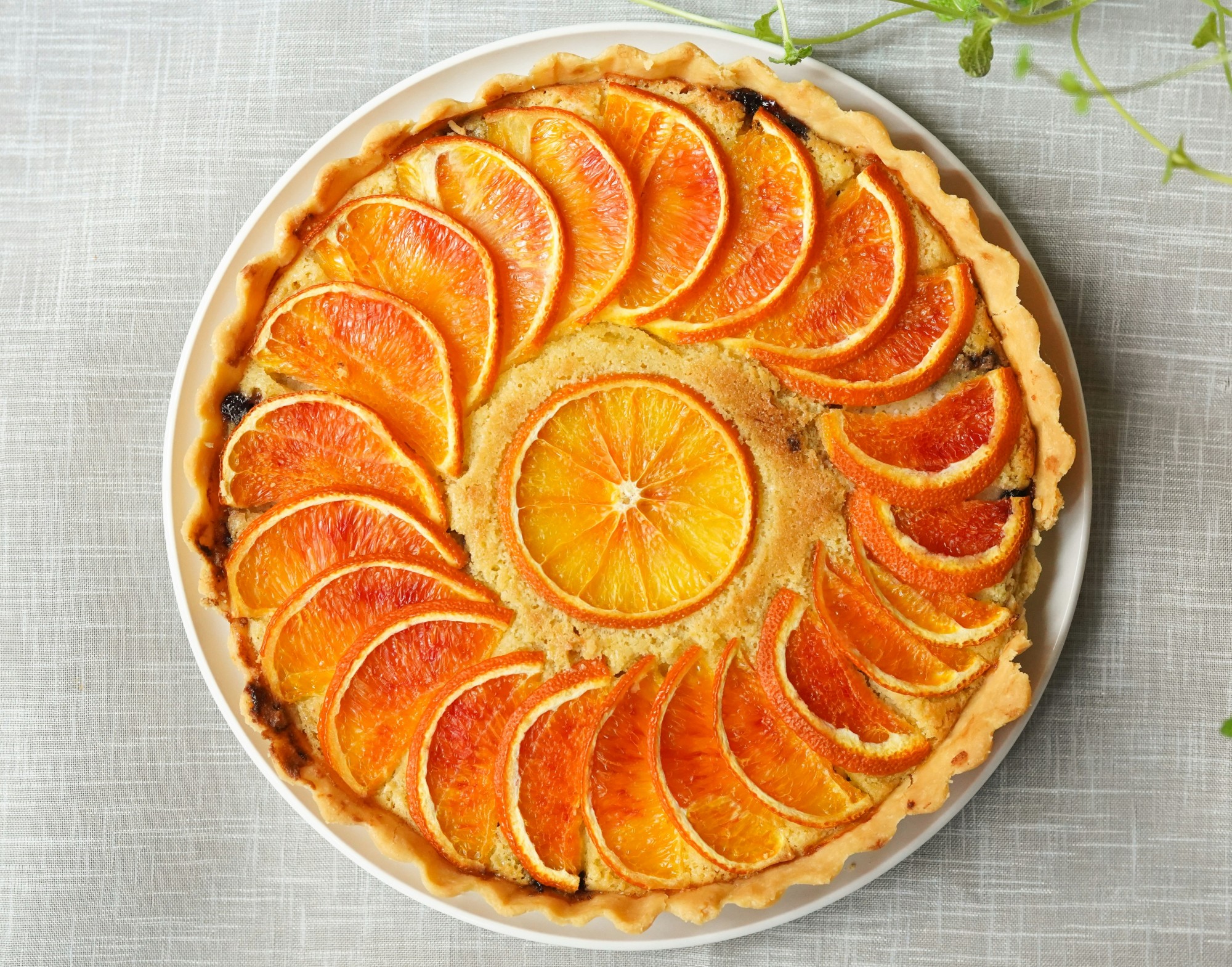 Foto Orange Creamsicle Pie, Segar dan Manis Ragam Pai Buah Jeruk yang Wajib Dicoba