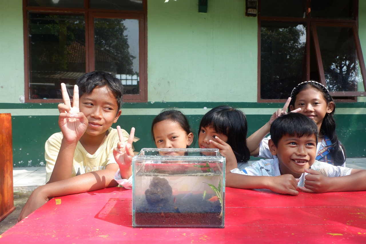 Hasil Pembuatan Aquascape oleh Anak-anak