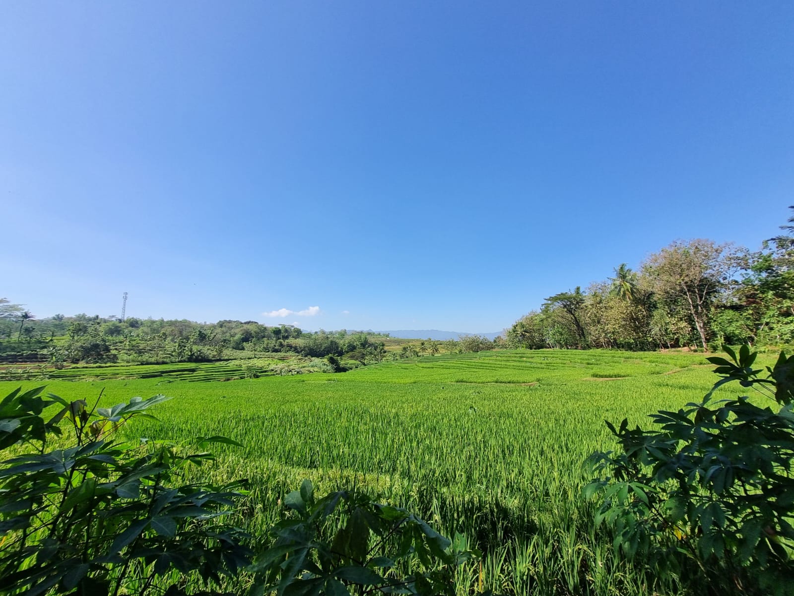 [Dokementasi Pribadi]