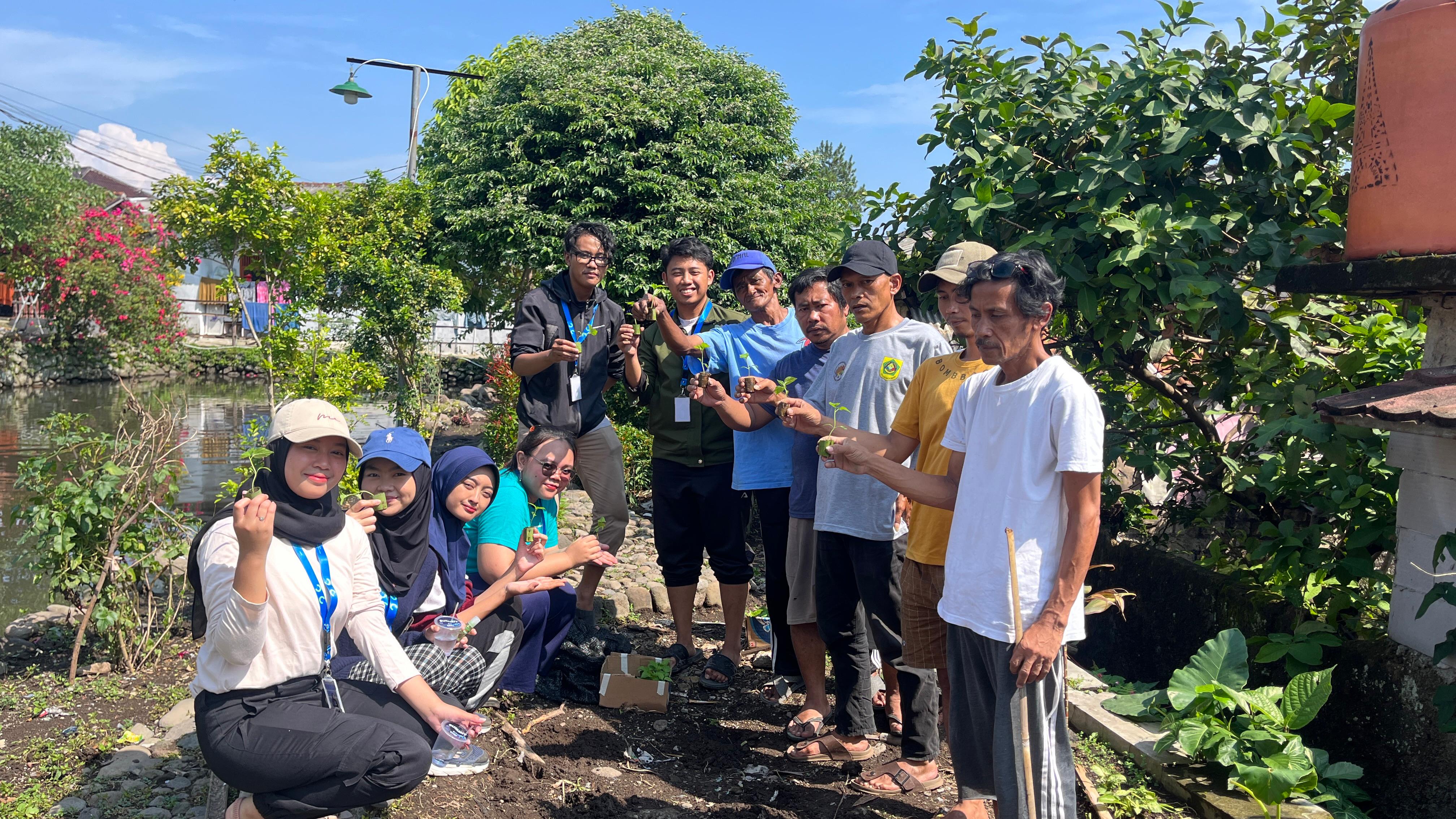 Foto penanaman cabai di pekarangan | Dokumentasi Pribadi