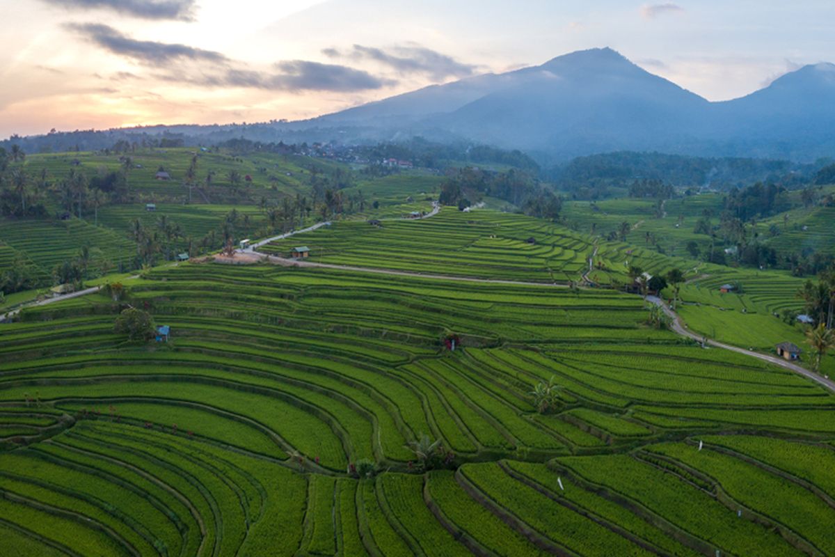 Desa Wisata Wukirsari, Yogyakarta | Foto: Shutterstock