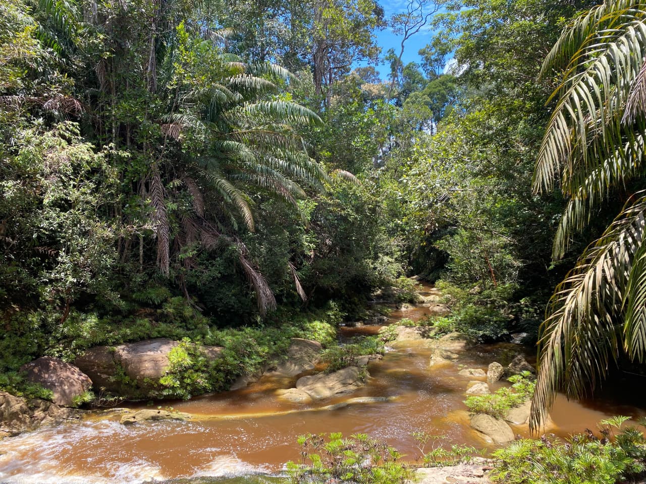 Pemandangan di Tingkat 2 Air Terjun Kelingkang, Desa Nanga Bayan, Kecamatan Ketungau Hulu, Kalimantan Barat | Dokumentasi Pribadi