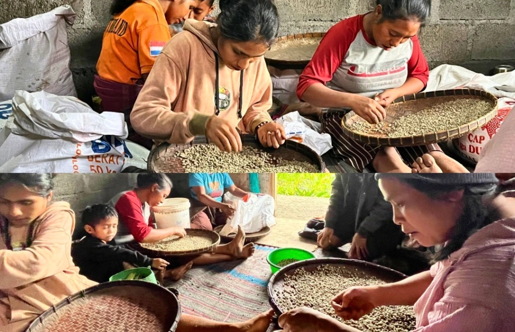 Penyerapan tenaga kerja perempuan DSA Bajawa | Sumber: bajawacoffeehouse.id