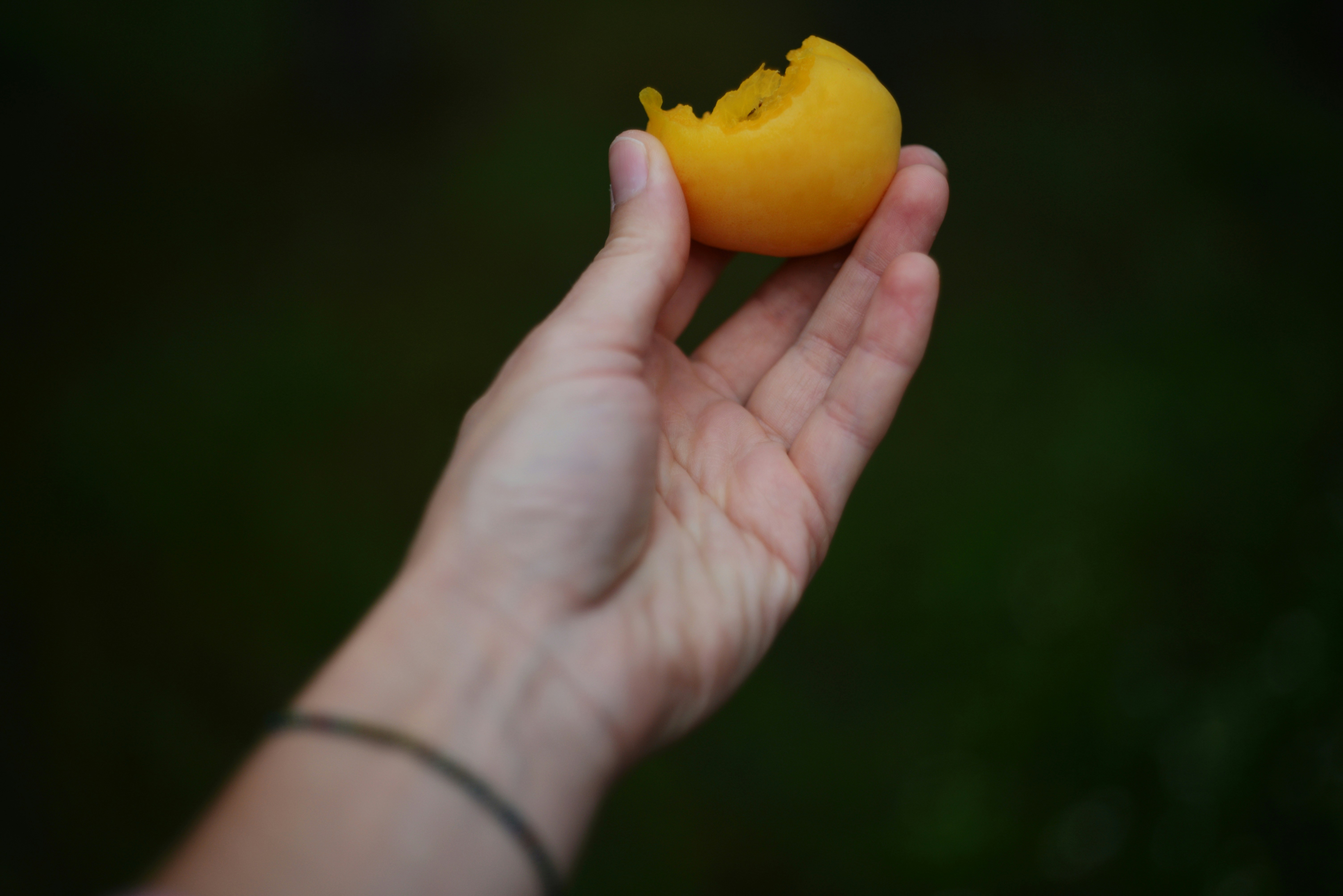 Foto Buah Gandaria atau Jatake (Plum mango) 