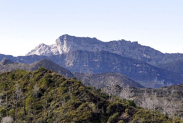 Gunung Trikora