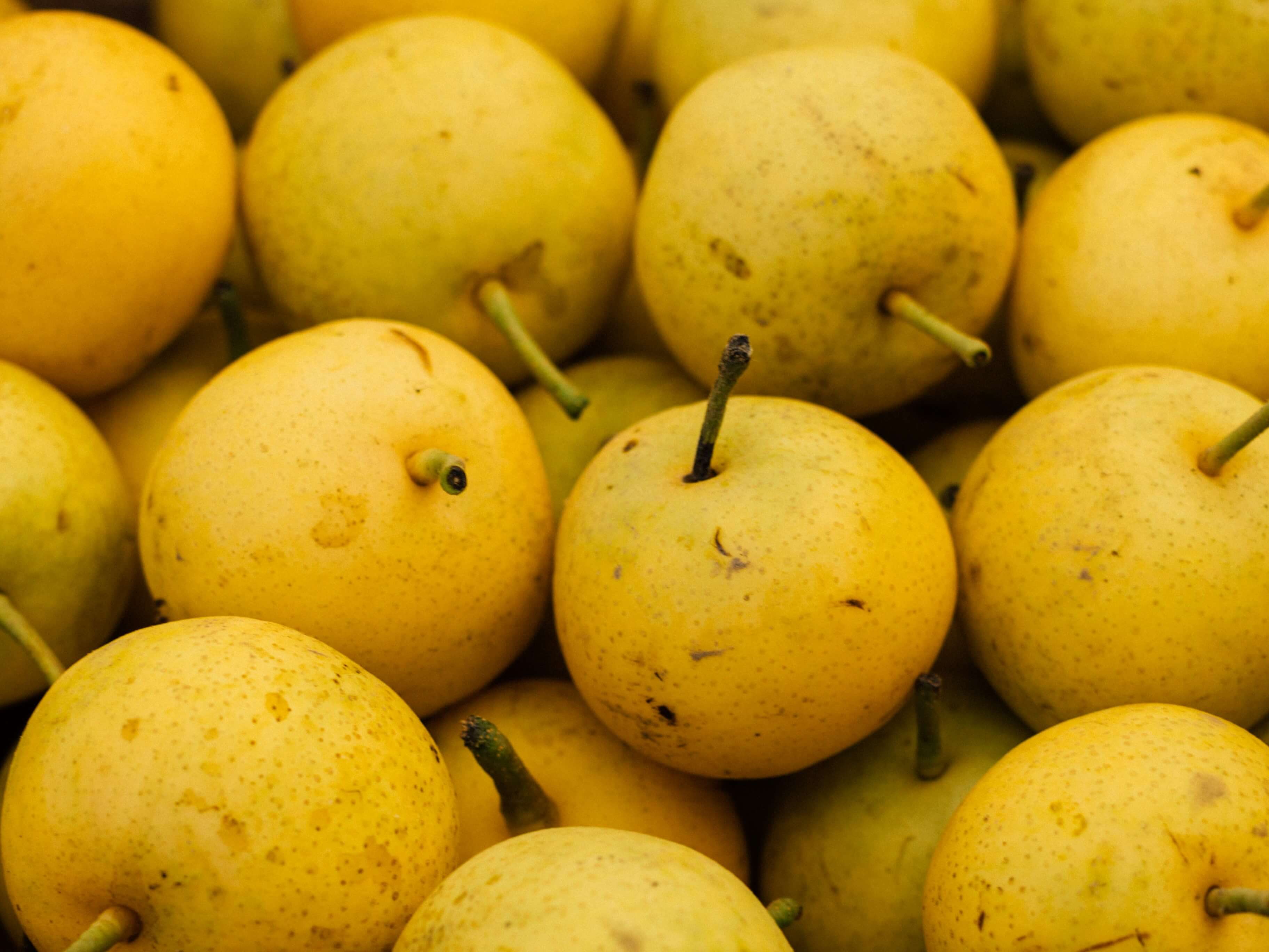 Gambar Pear, Buah yang Kaya Nutrisi dan Serat Cocok untuk Rujak | Sumber: Unsplash.com @Jason Leung