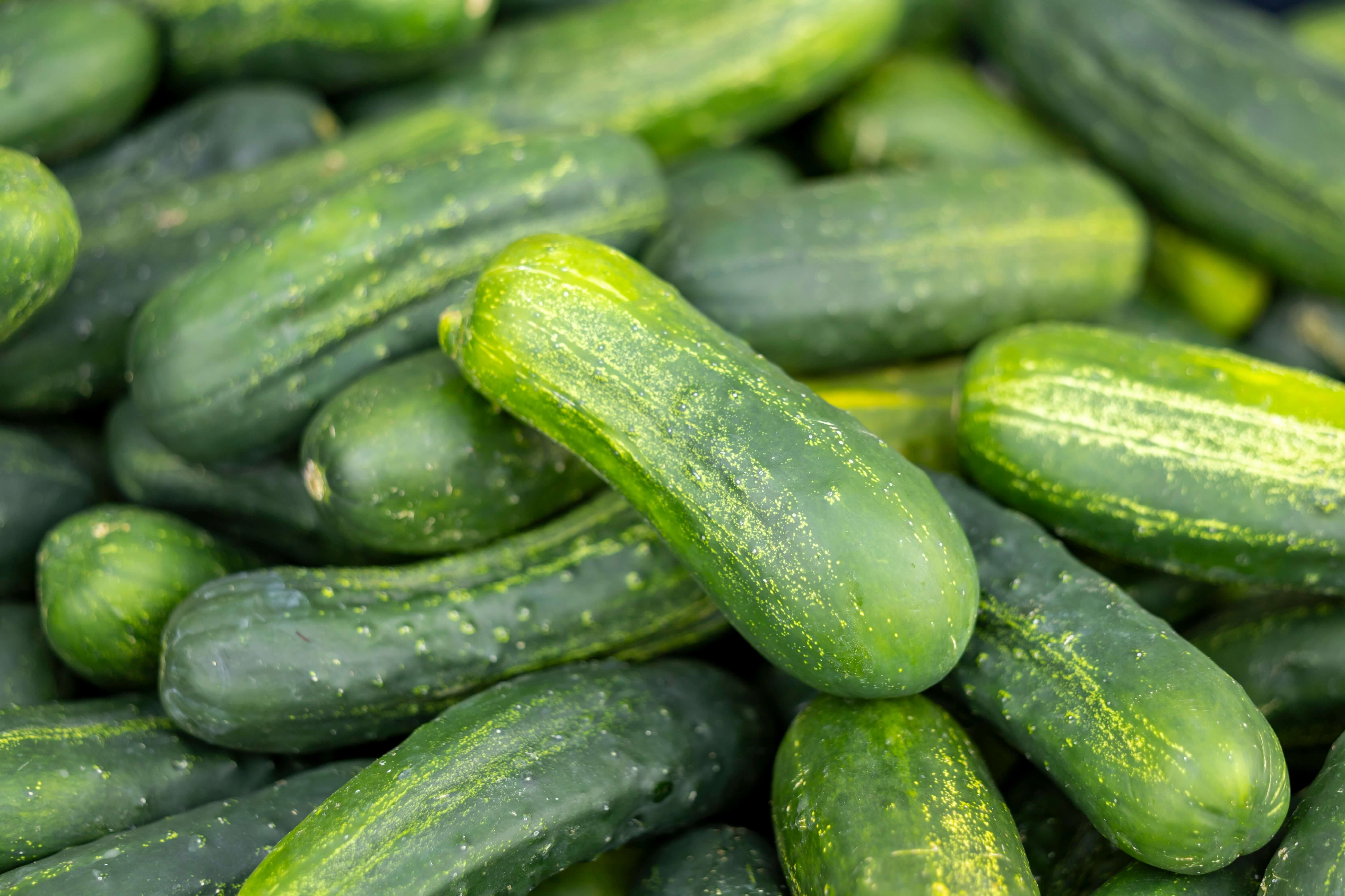 Buah Timun, Salah Satu Buah yang Cocok untuk Rujak dan Menurunkan Hipertensi | Sumber: Unsplash.com @Leo Visions