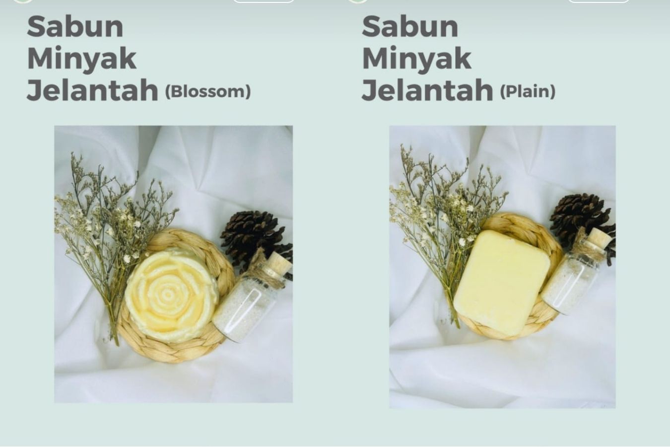 Sabun dari minyak jelantha