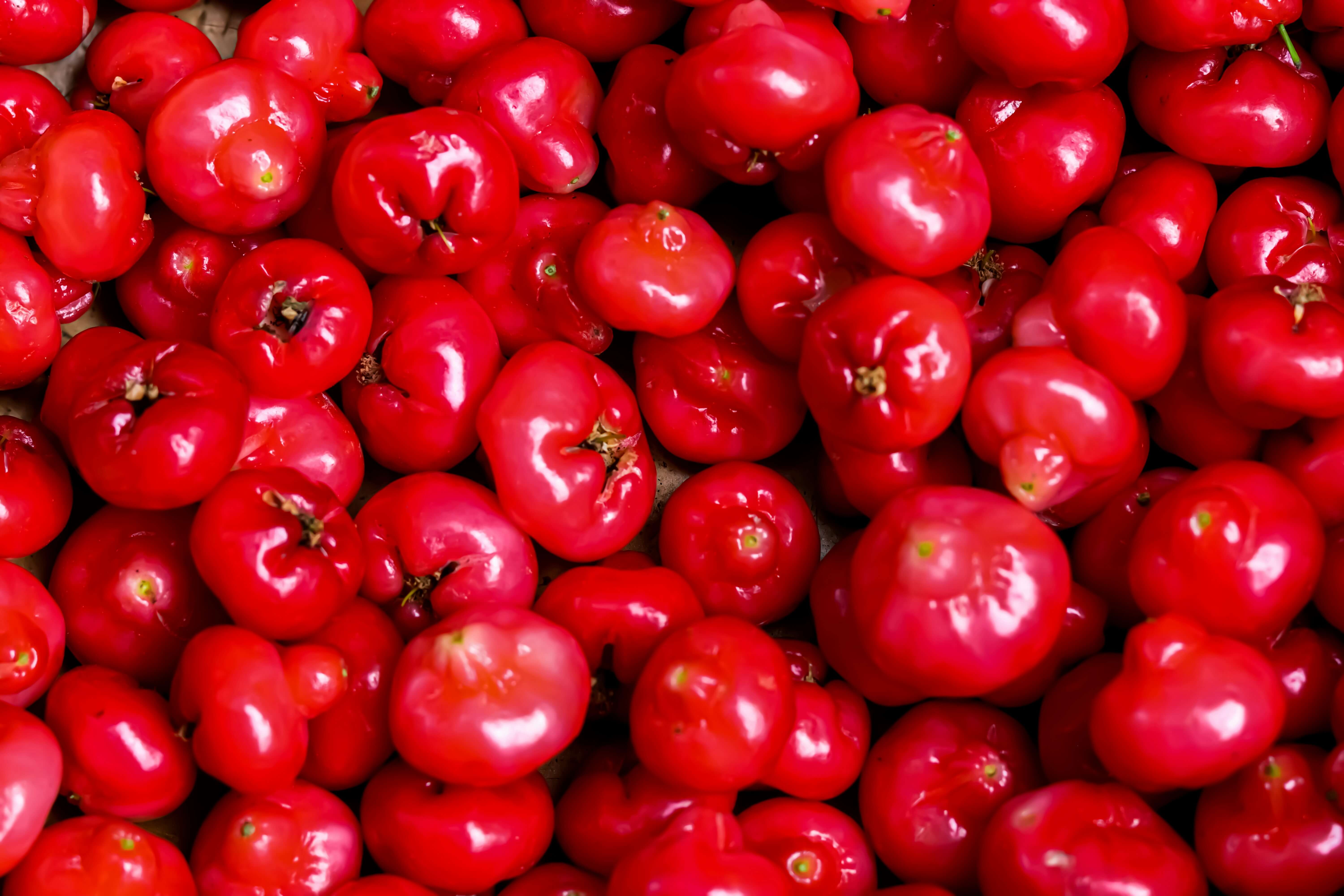 Jambu Air Merah, Buah yang Cocok untuk Rujak dan Kaya Serat serta Vitamin | Sumber: Unsplash.com @VD Photography