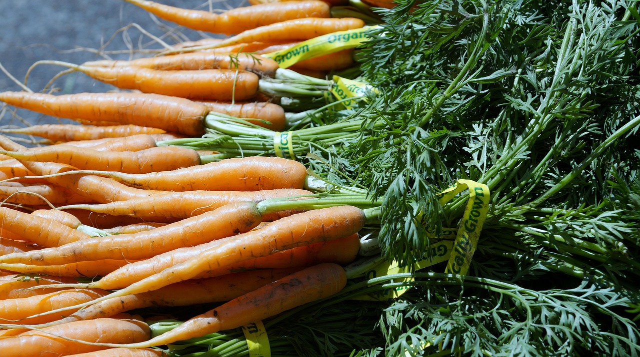 Carrot. Foto: Pixabay/justinat