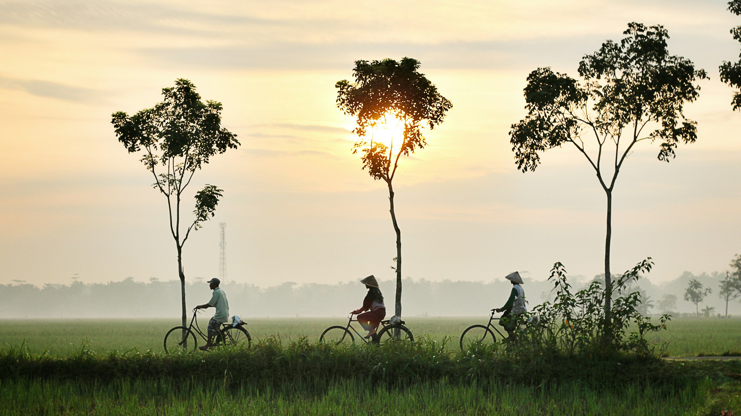 Para Petani Mengayuh Sepeda untuk Meninggalkan Sawahnya | Foto: (unsplash.com | Dikaseva)