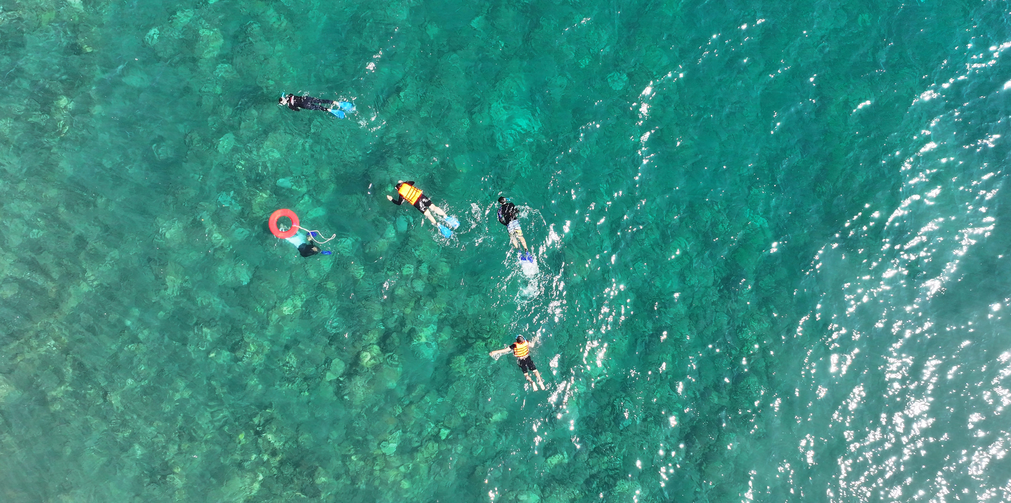 ilustrasi snorkeling