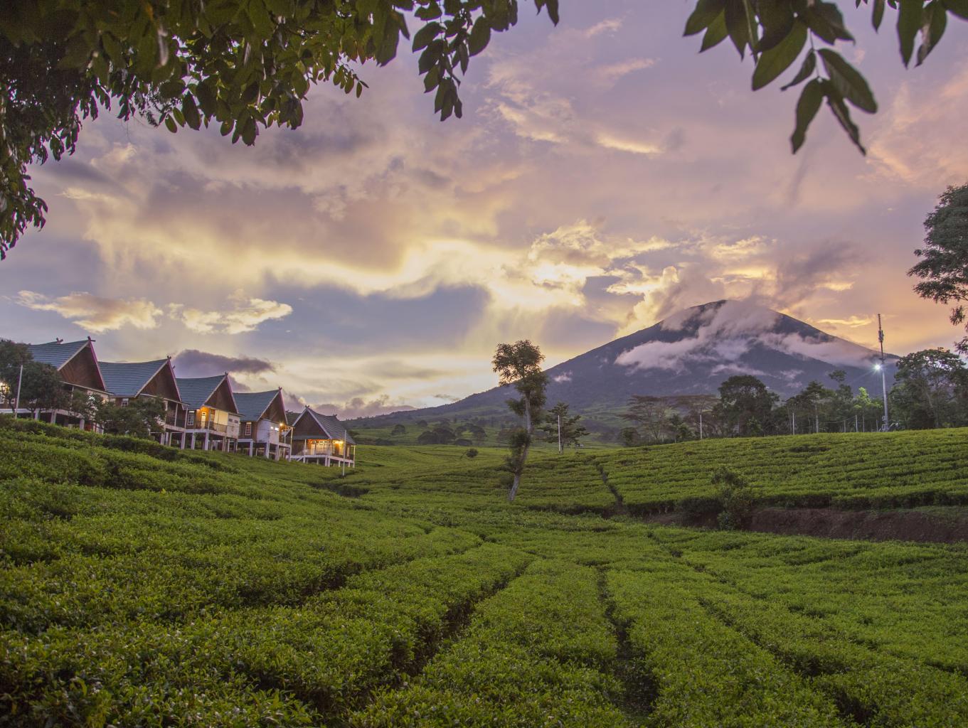 Potret Gunung Dempo, Gunung Tertinggi ke Tiga di Pulau Sumatra | Sumber: Sumsel.jadesta.com 