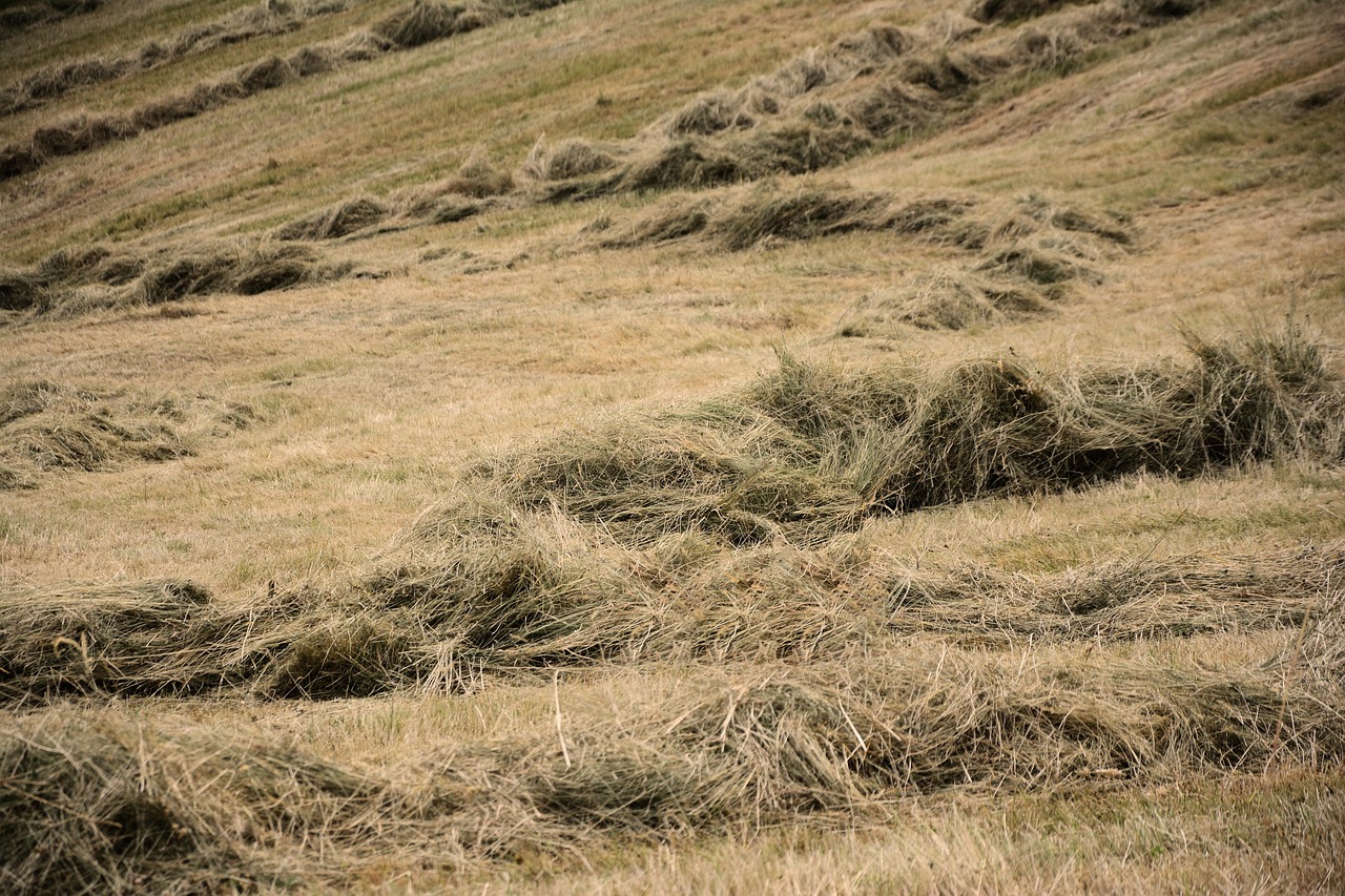pengeringan metode swath