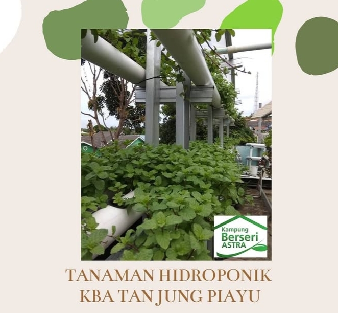 Penanaman Hidroponik di KBA Tanjung Piayu | Foto: Instagram:@kba.batam