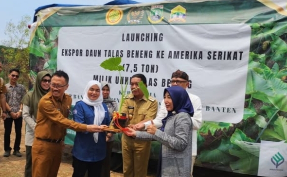 Kegiatan Launching Ekspor Talas Beneng ke Amerika Serikat | Foto: Instagram/@dinaspertanianprovinsibanten