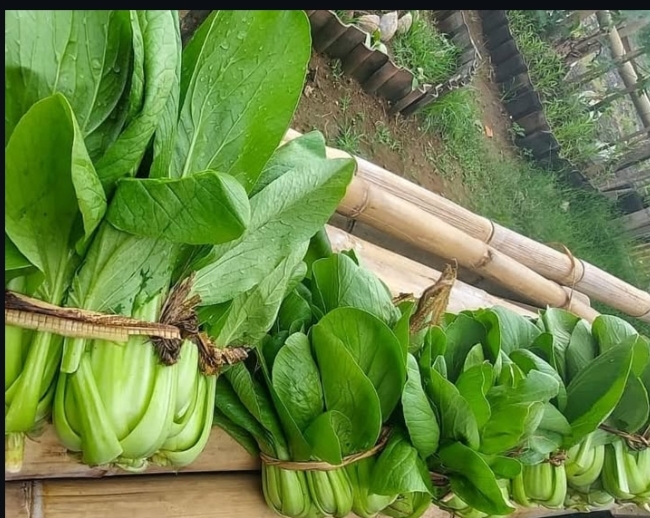 Hasil Produk Pertanian di KBA Tegeh Sari, Bali | Foto: Instagram/@kbategehsari