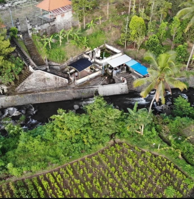 Desa Sudaji Bali | Foto: Instagram/@sudajitourism