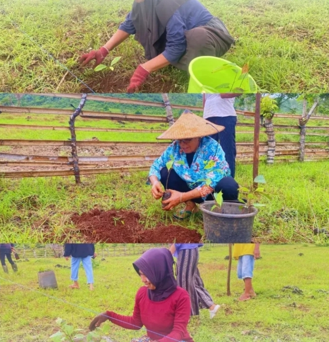 Program penghijauan di KBA Lamolino Wakatobi | Foto: Instagram/@kba_wakatobi