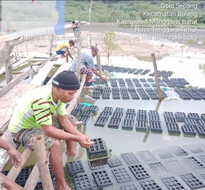 Crab box di DSA Golosepang | Foto: Instagram/@dsamanggaraibarat