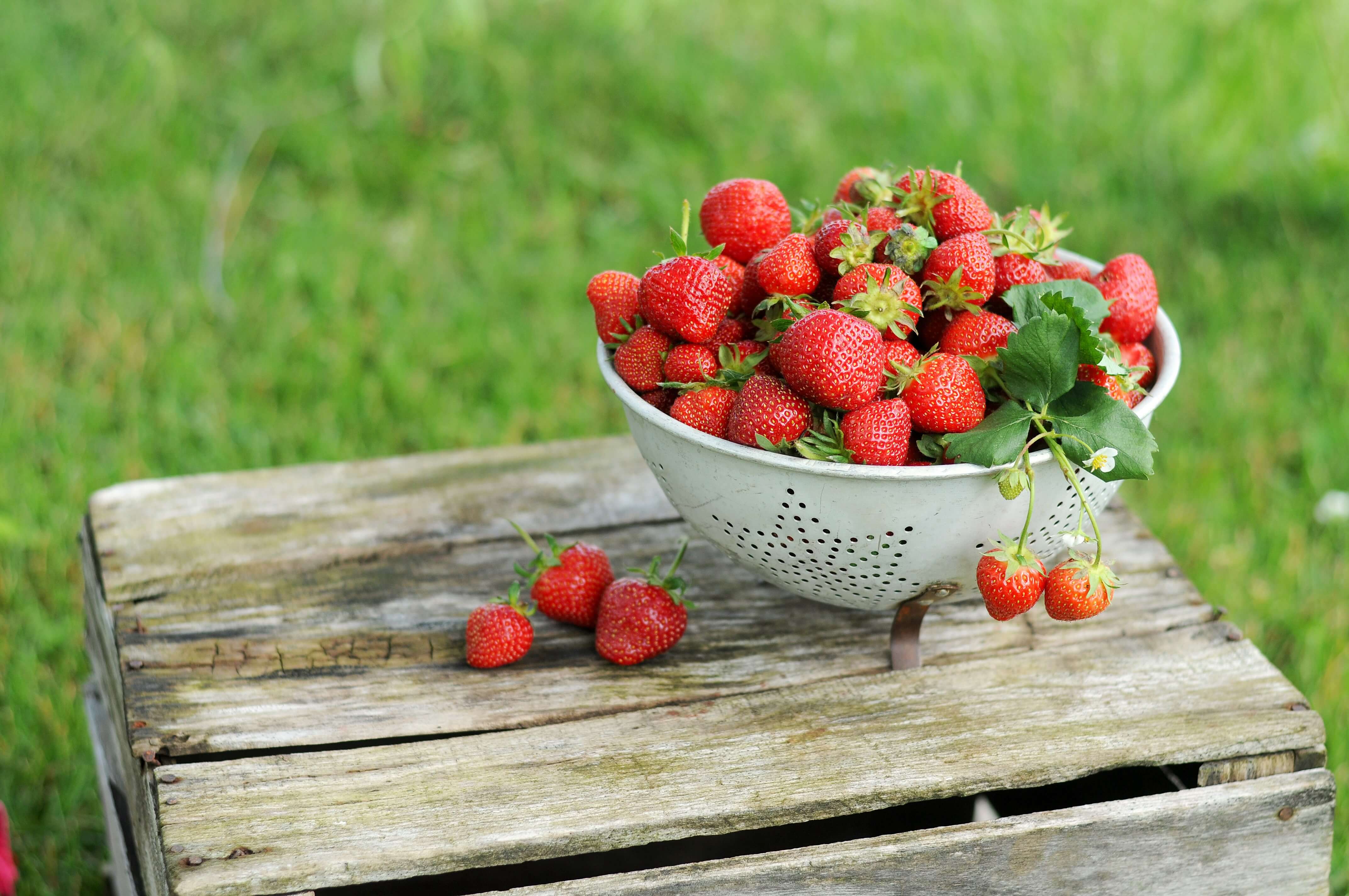 Buah yang Tidak Boleh Dikonsumsi Penderita Asam Lambung, Makan Strawberry dan Blueberry pun Perlu Hati-hati | Sumber: Unsplash @Lucinda Hershber