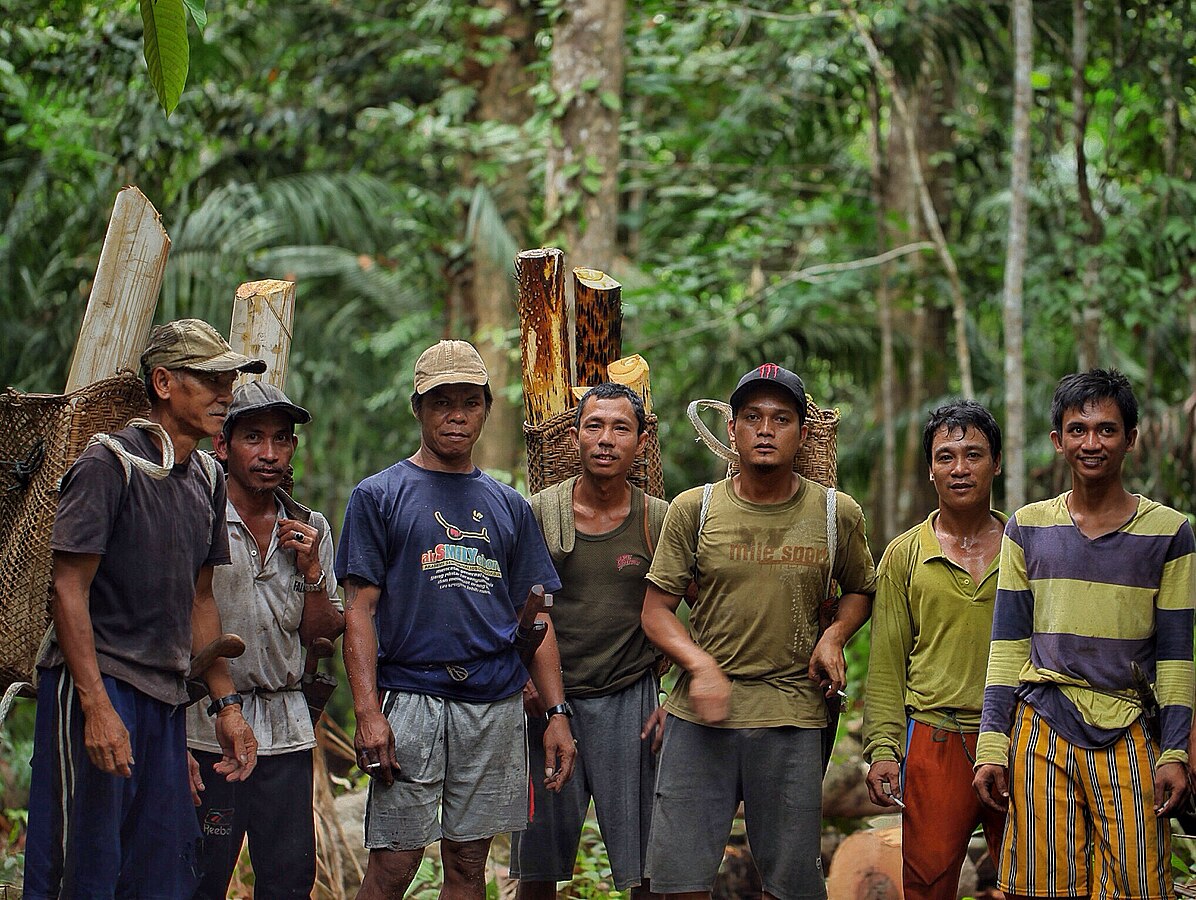potret masyarakat Sungai Utik dan hutan adat mereka di Kapuas Hulu, Provinsi Kalimantan Barat (commons.wikimedia.org/Hendrojkson)