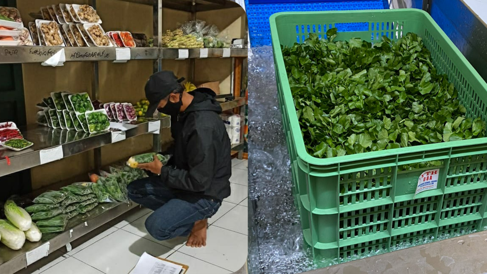 Pemanfaatan ozonisasi untuk produk hortikultura