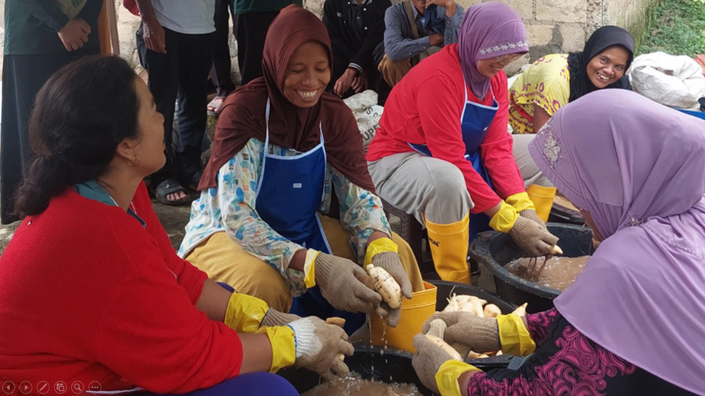 Pendampingan oleh Tim IPB kepada petani ubi | Sumber: DPMA IPB University