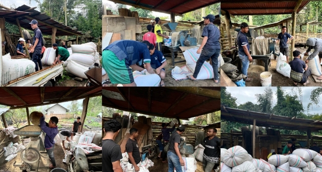 Potret proses pengupasan biji Kopi Arabika Flores | Website resmi Rumah Kopi Bajawa Flores