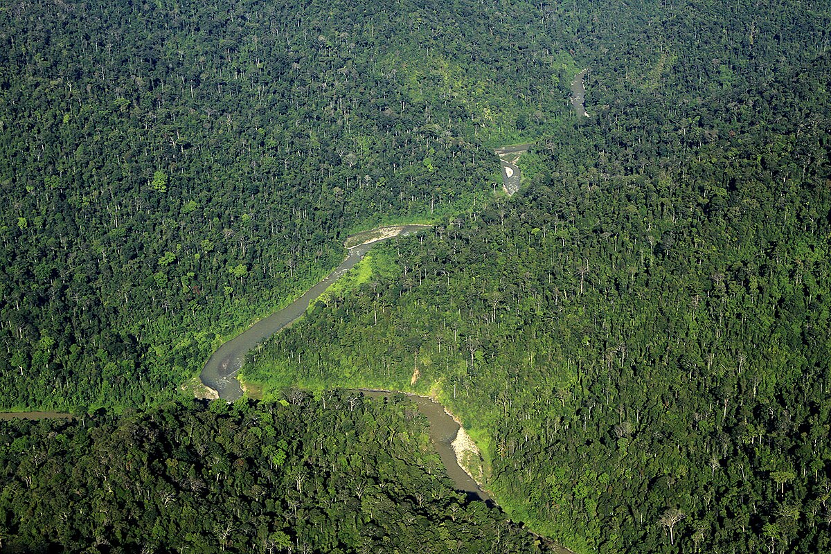 Potret Taman Nasional Gunung Leuser, Surganya Satwa dan Flora | Sumber: Wikimedia Commons @Junaidi Hanafiah 